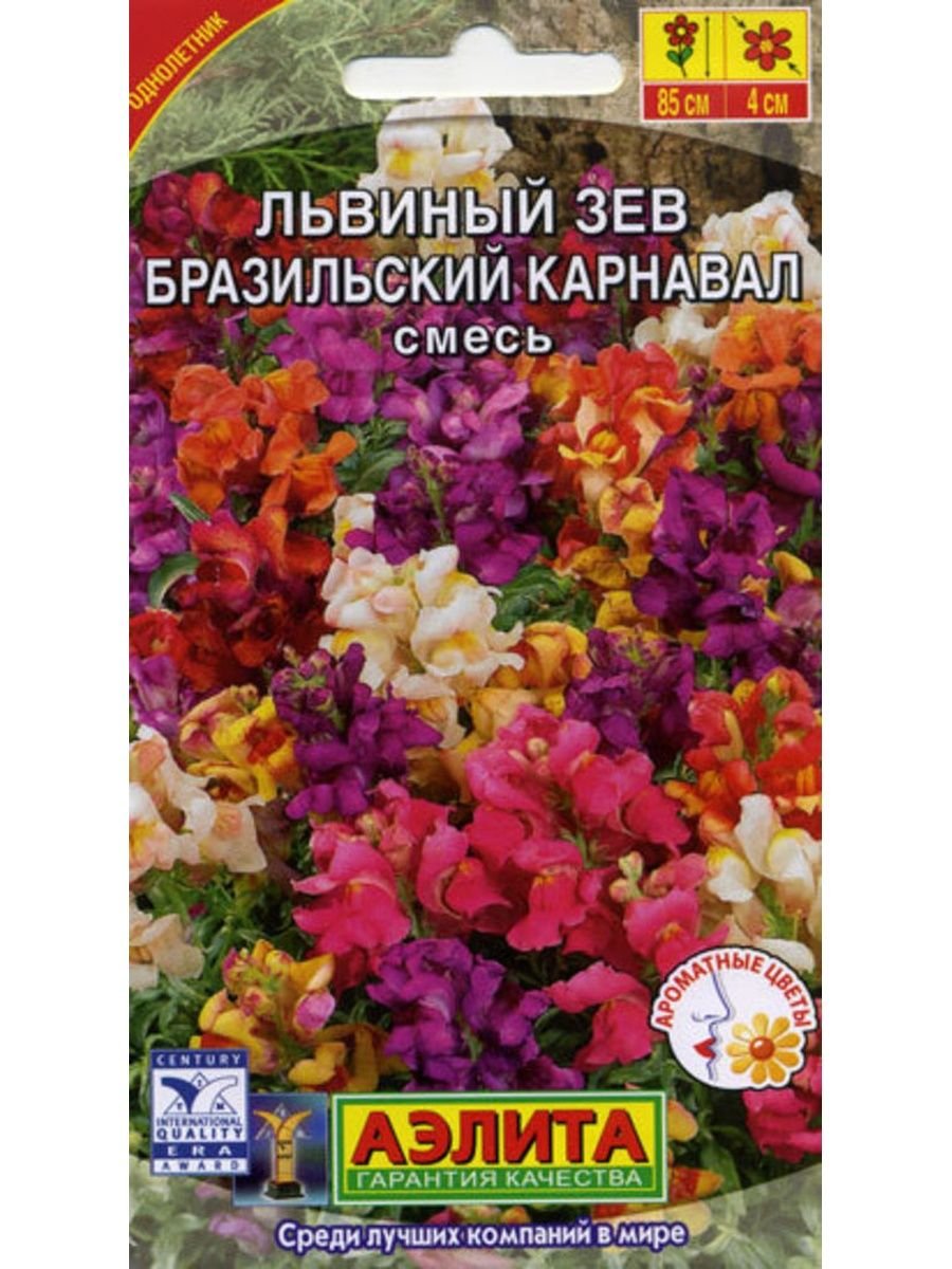 Львиный зев бразильский карнавал семена Алтая отзыв