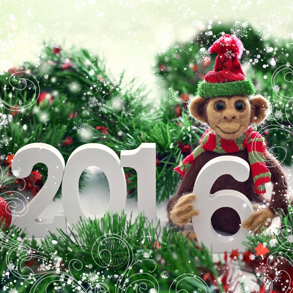 Новый год обезьян. Год обезьяны. Обезьяна 2016. Новый год 2016 год обезьяны. Символ года 2016.