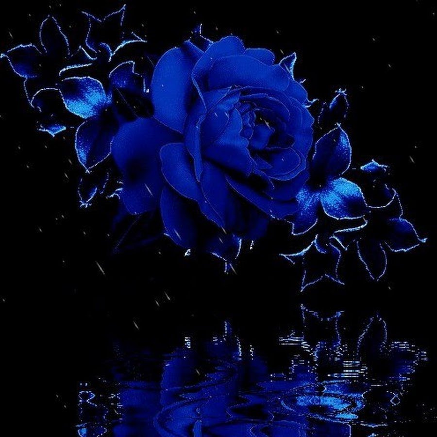 Синий ночной цветок