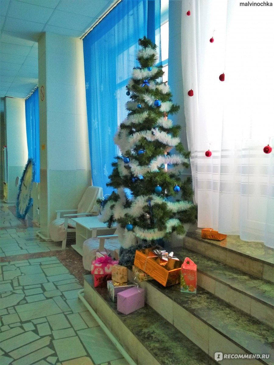 Новый год в санатории Кленовая гора