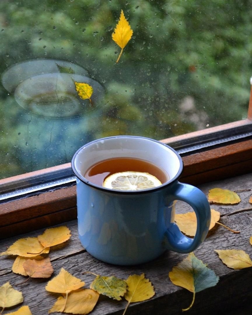 Осень дождь чай