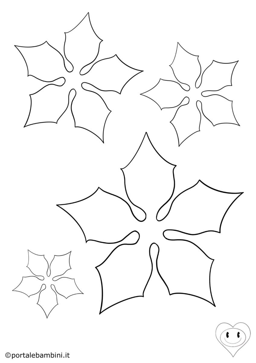 Пуансеттия схема цветка