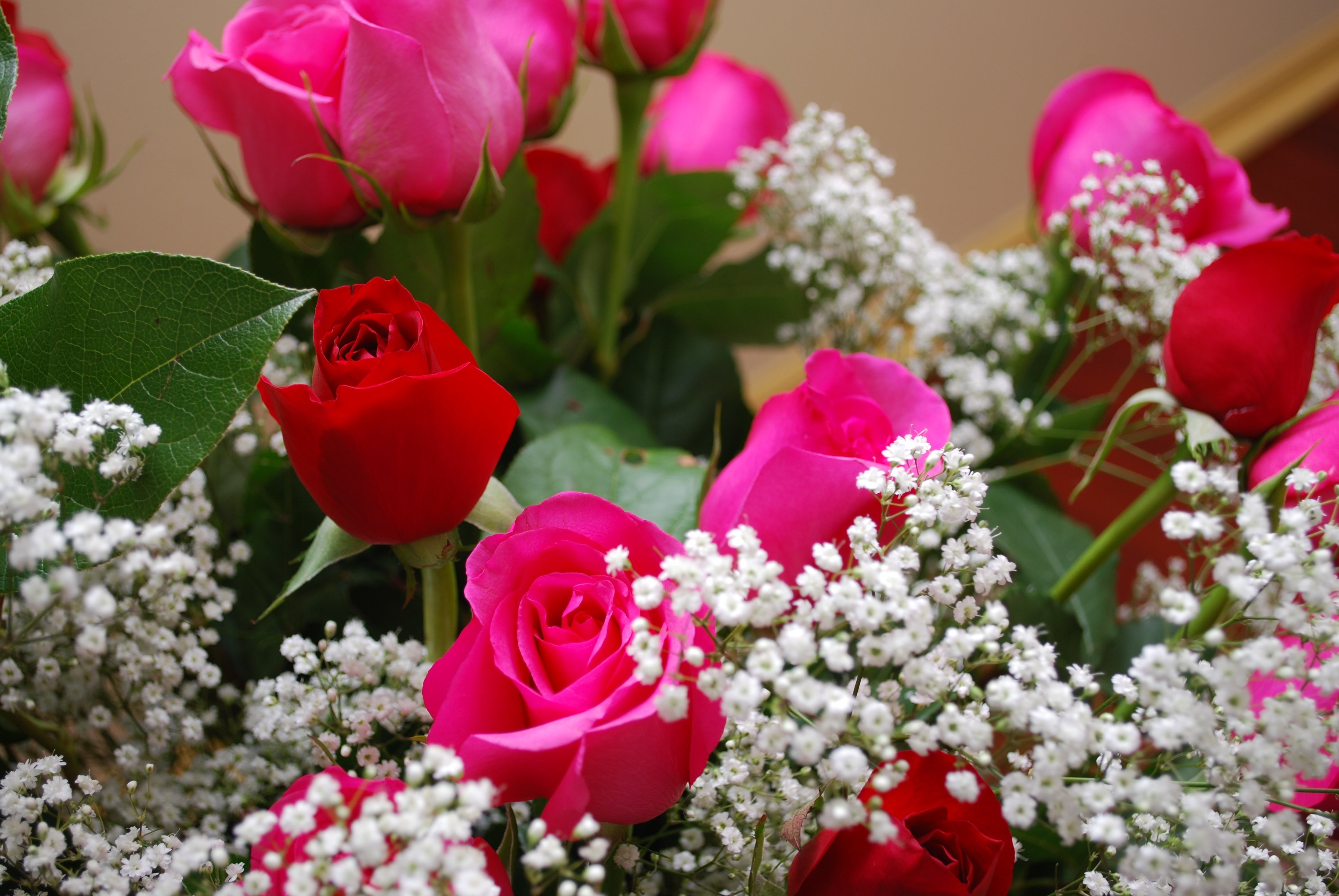 Бесплатные открытки букет роз. Шикарные цветы. Красивый букет. Шикарный букет цветов. Красивый букет роз.
