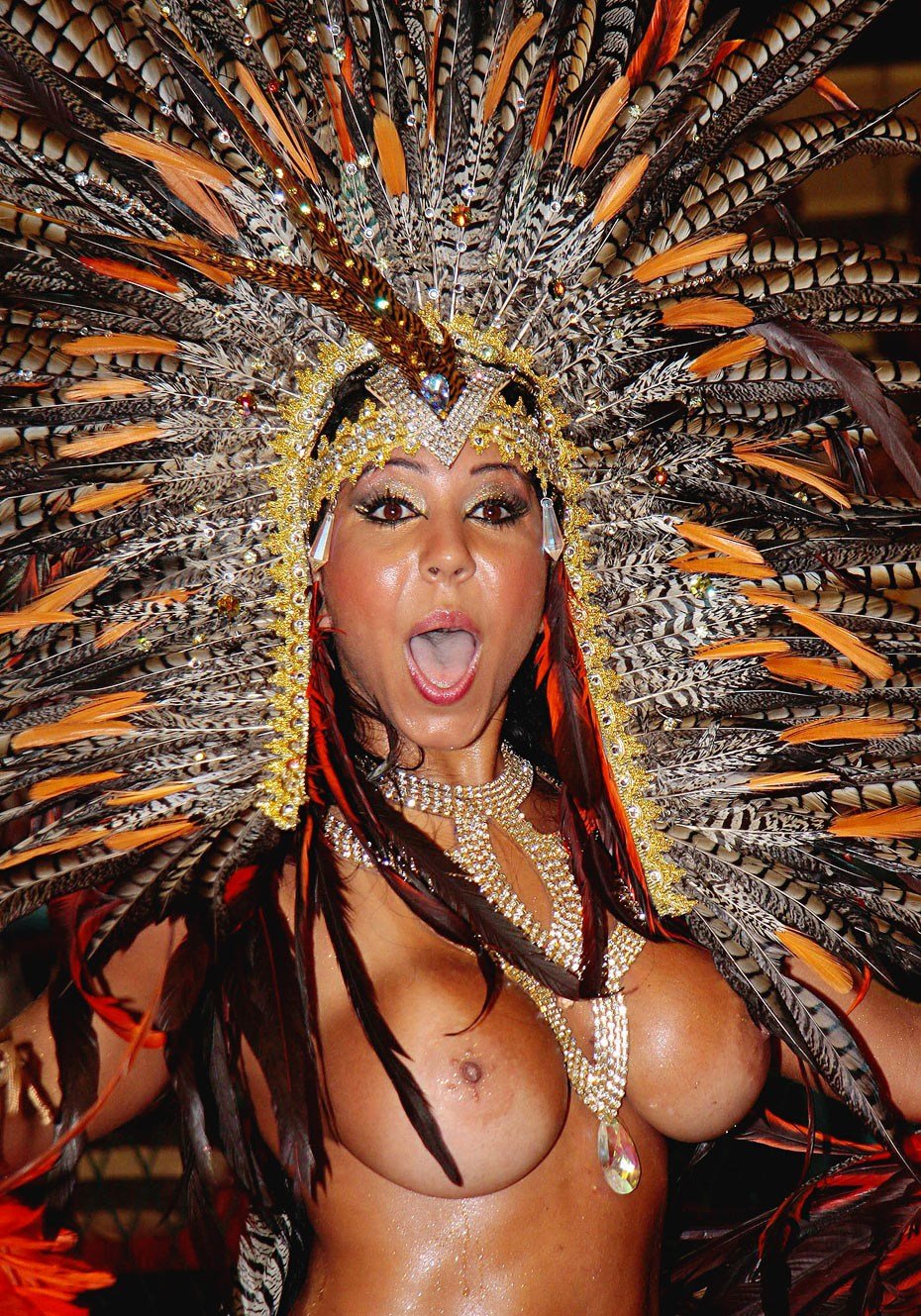 Эротический карнавал Рио (Rio Carnival)