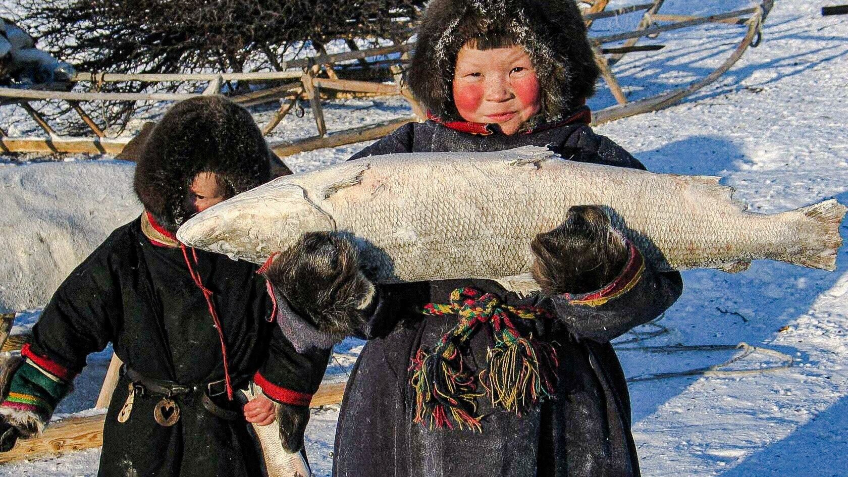 Охотничье промысловое хозяйство в ЯНАО