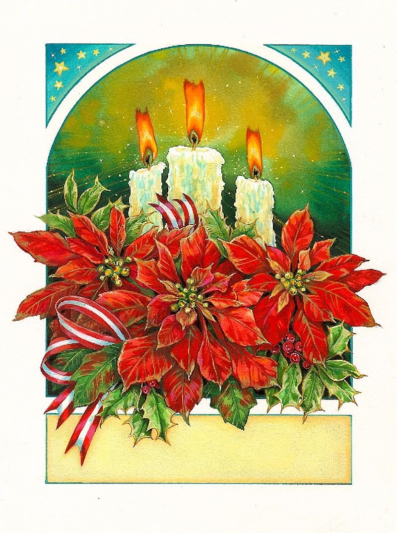 Пуансеттия Рождественская свечи