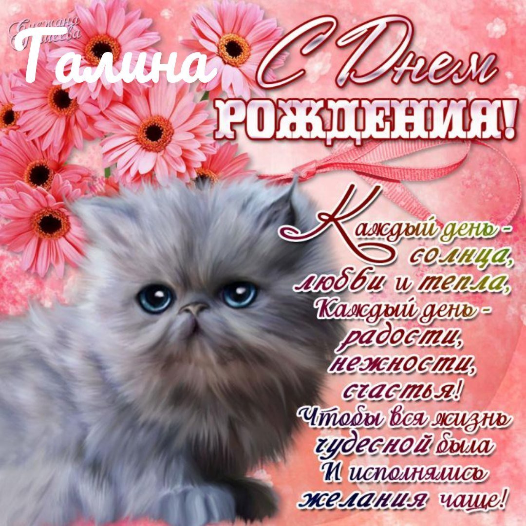Бесплатные открытки с днем рождения женщине александре. С днем рождения. Поздравления с днём рождения. Поздравления с днём рождения девушке. Поздравления с днём рождения с котиками.