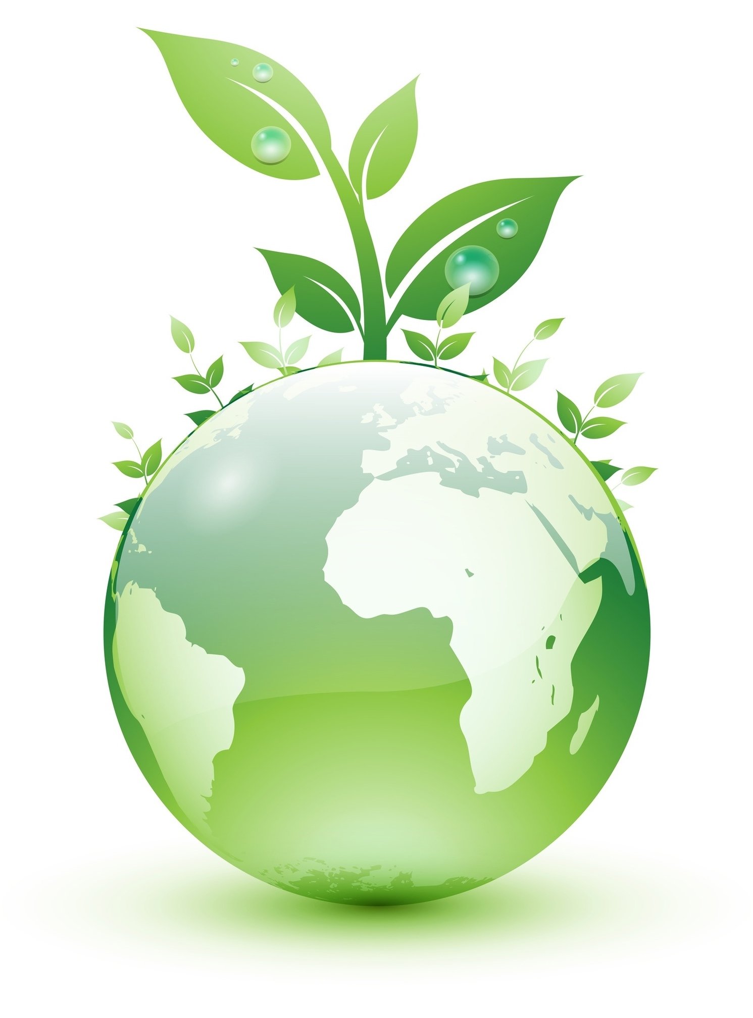 Система экологического менеджмента ISO 14001