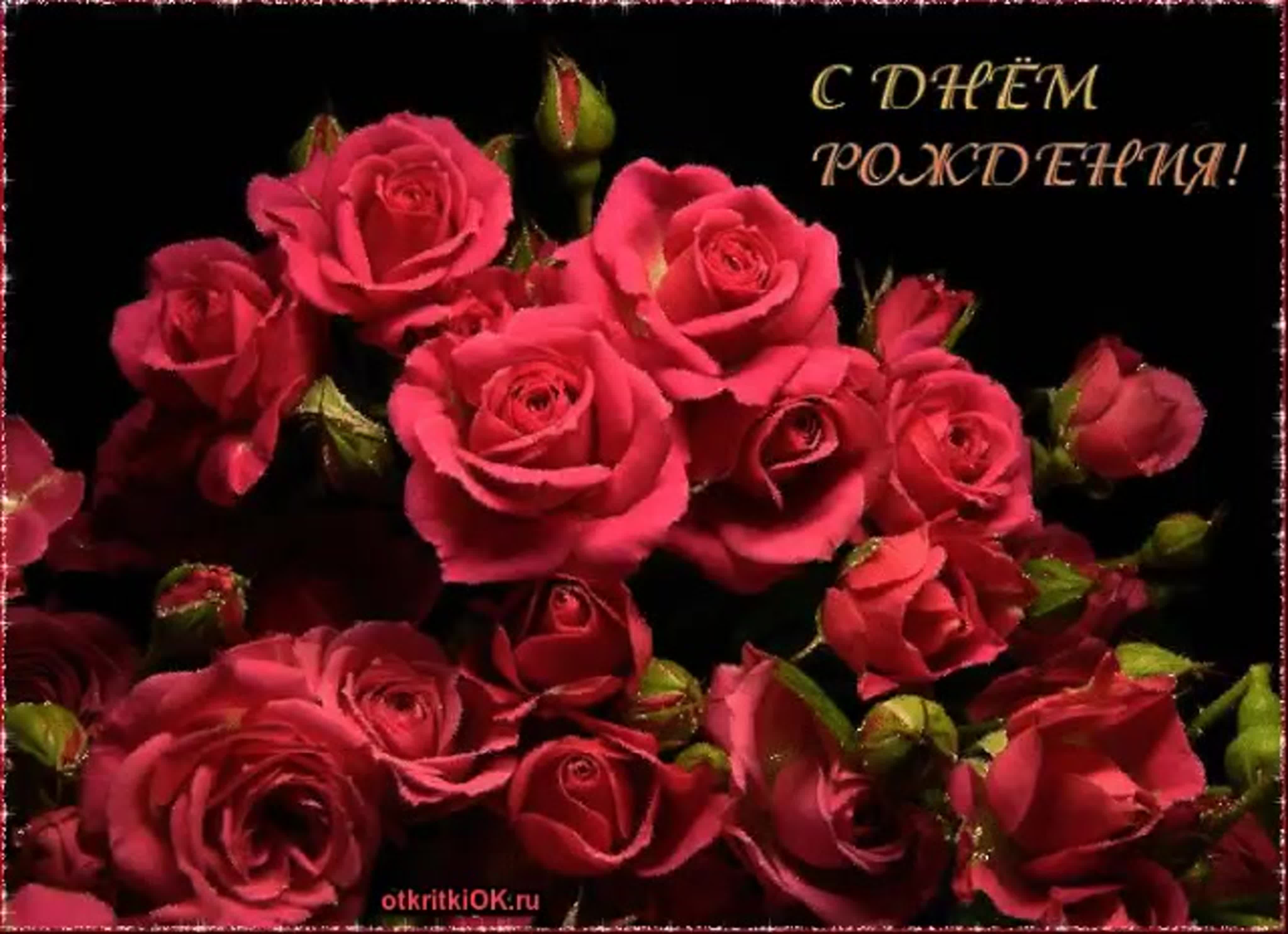Поздравительная открытка розе. Открытки с розами. Красивой женщине красивые цветы. С днем рождения розы. Открытки с розами красивые.