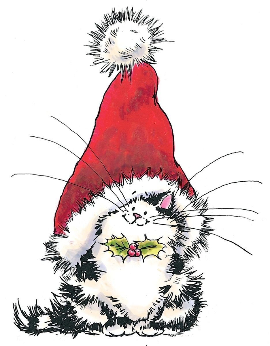 Котенок в Рождественском носке