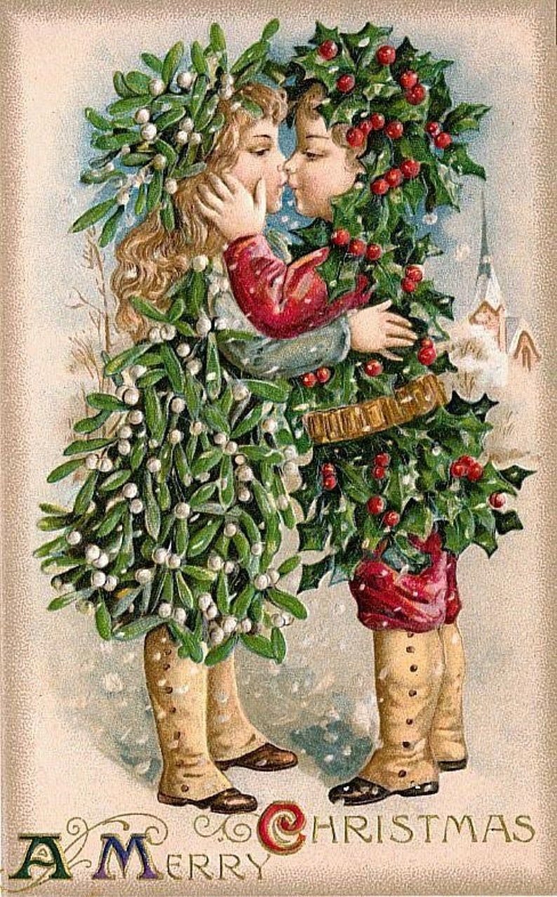 Рождественская омела ветка поцелуев