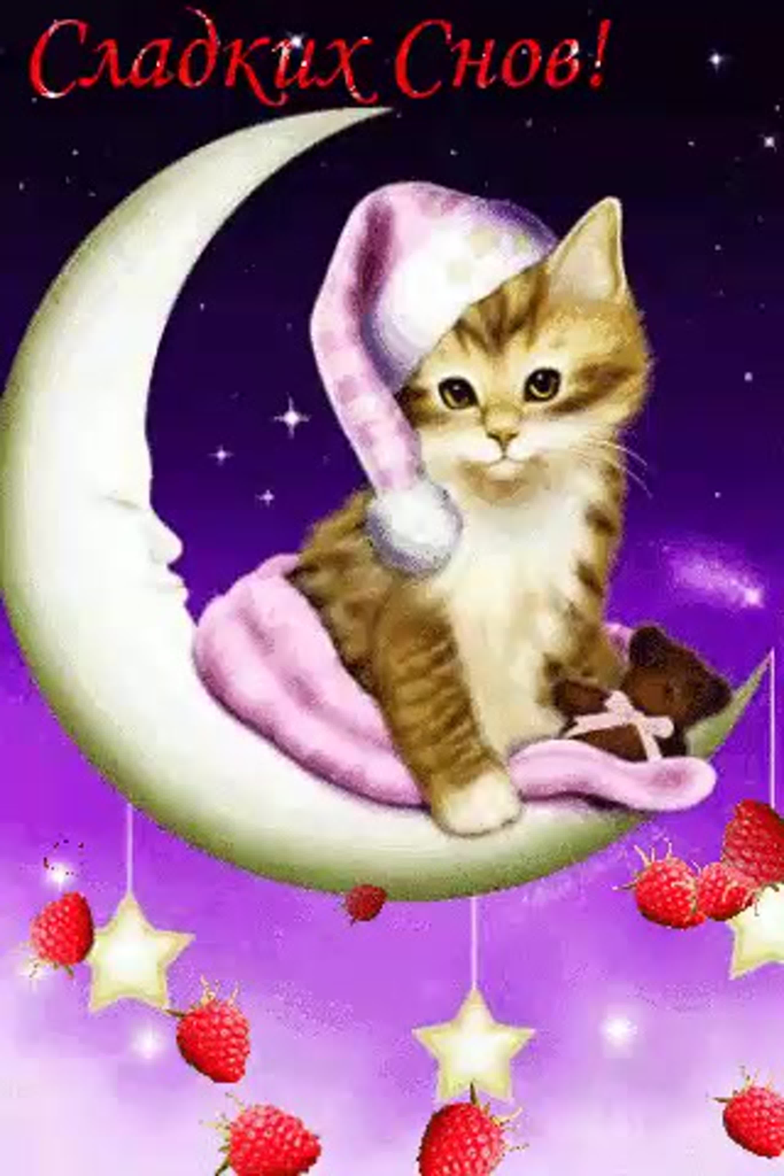 Гифки котиков спокойной ночи. Сладких снов. Спокойной ночи сладких снов. Спокойно ночи сладких снов. Доброй ночи сладких снов.