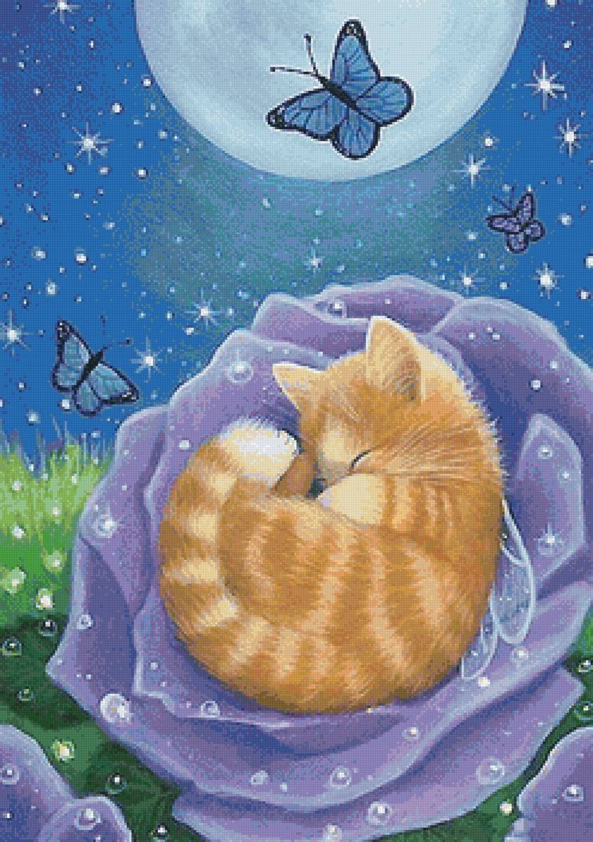 Картинки спокойной ночи с кошкой