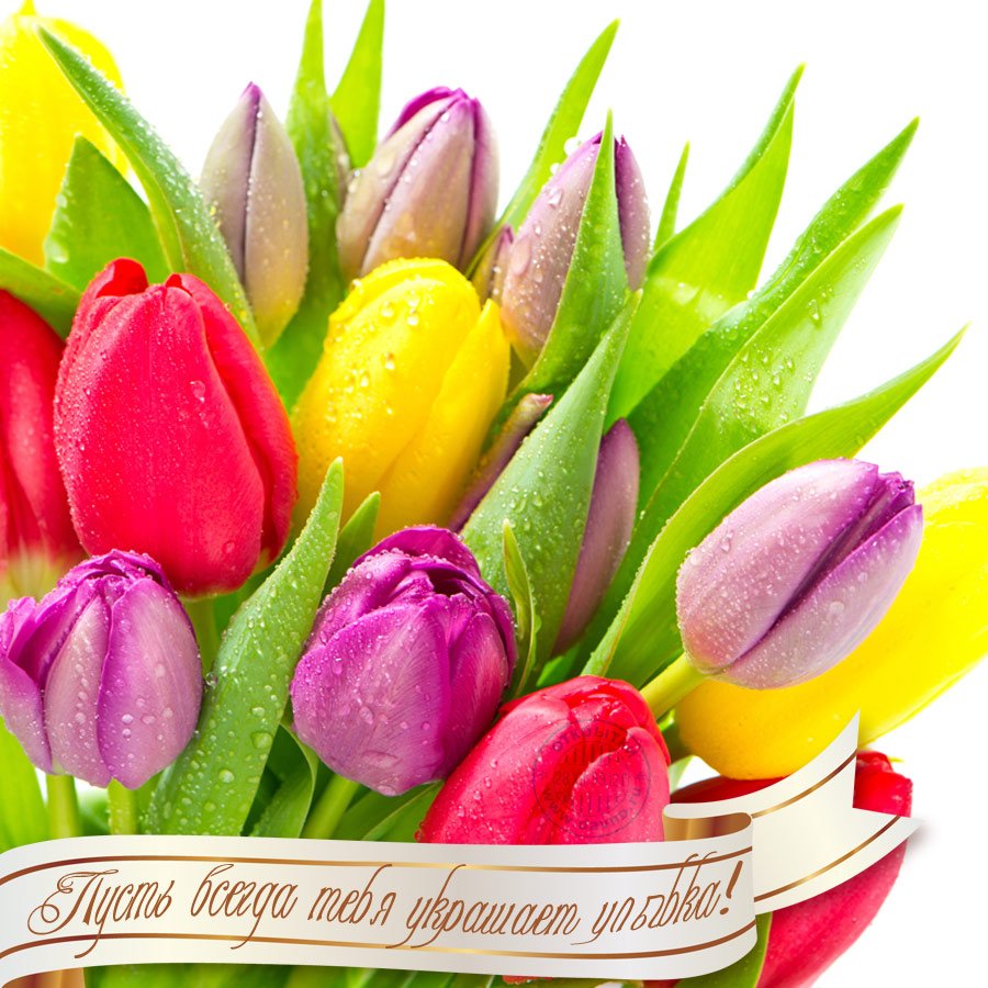 Поздравления с днём рождения тюльпаны