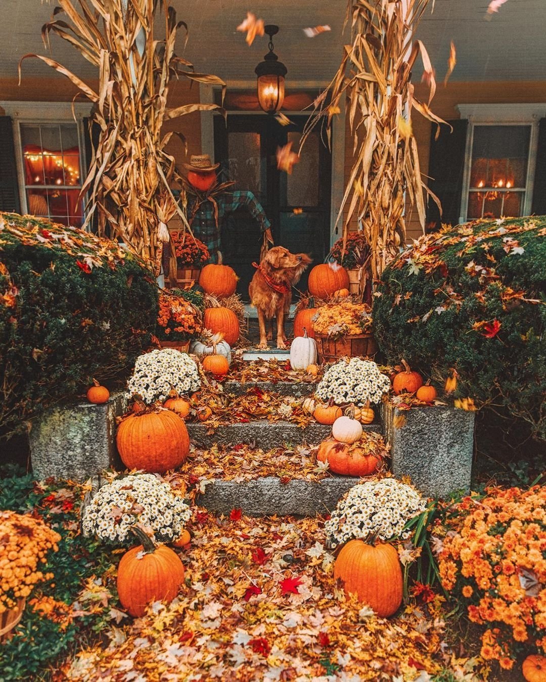 Осенний праздник тыквы. Осенний декор. Осень Хэллоуин. Осень тыквы. Праздник урожая.