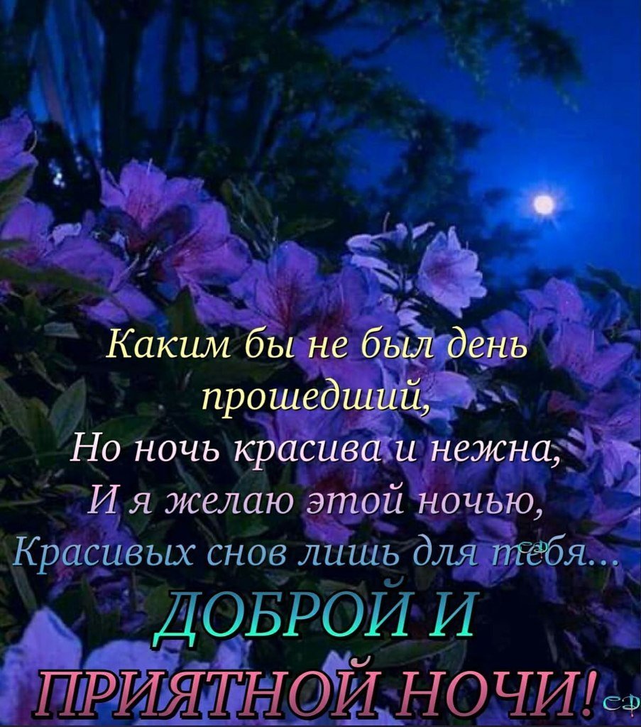 Спокойной ночи