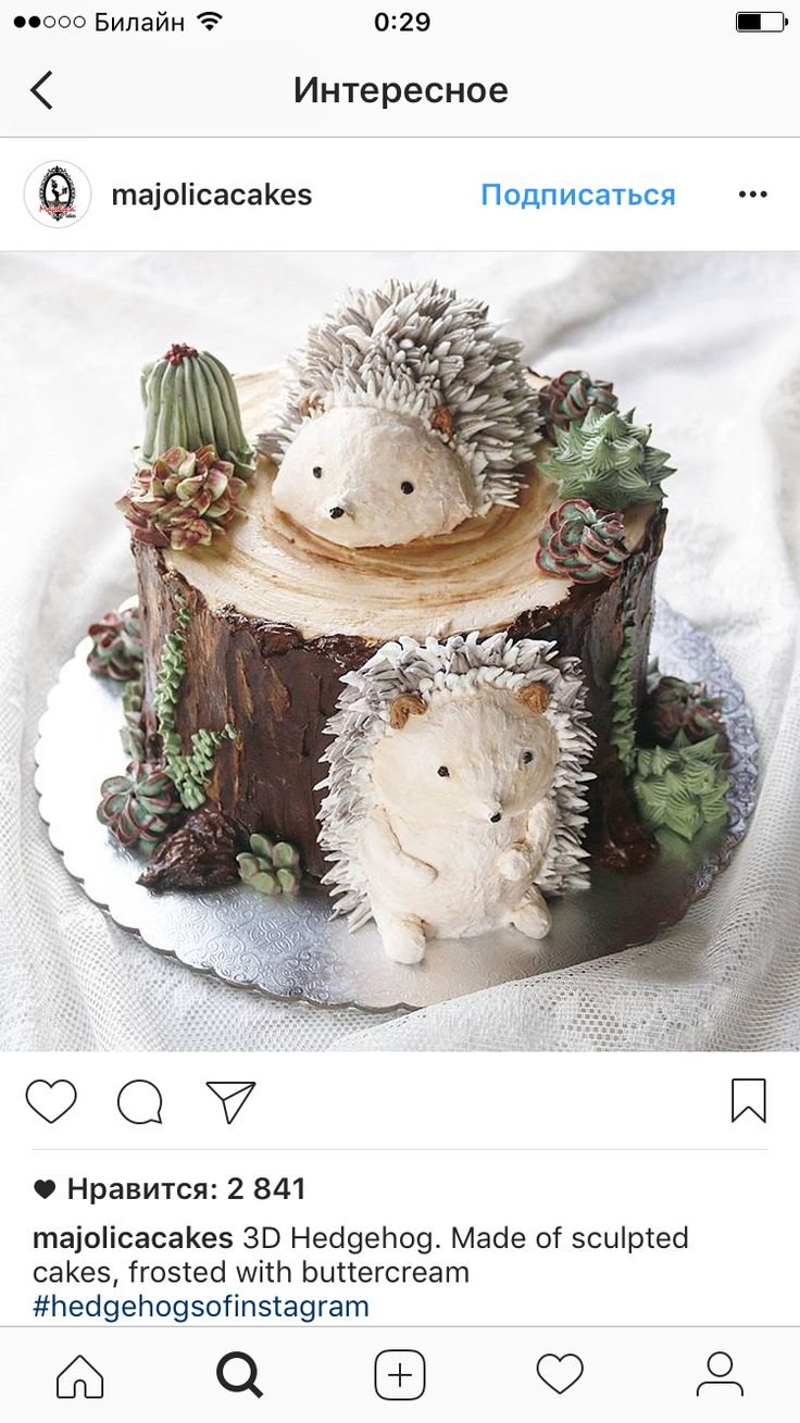 Самые красивые торты с ежиком