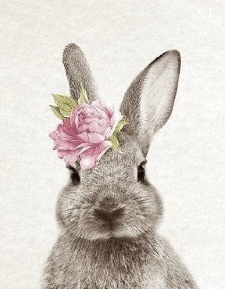 Портрет зайчика. Красивый зайчик. Венок с зайцем. Кролик с цветами. Милый заяц.