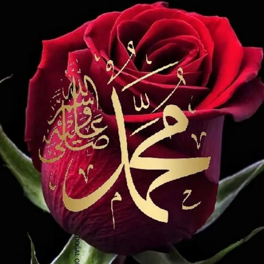Мусульманские цветок красивый