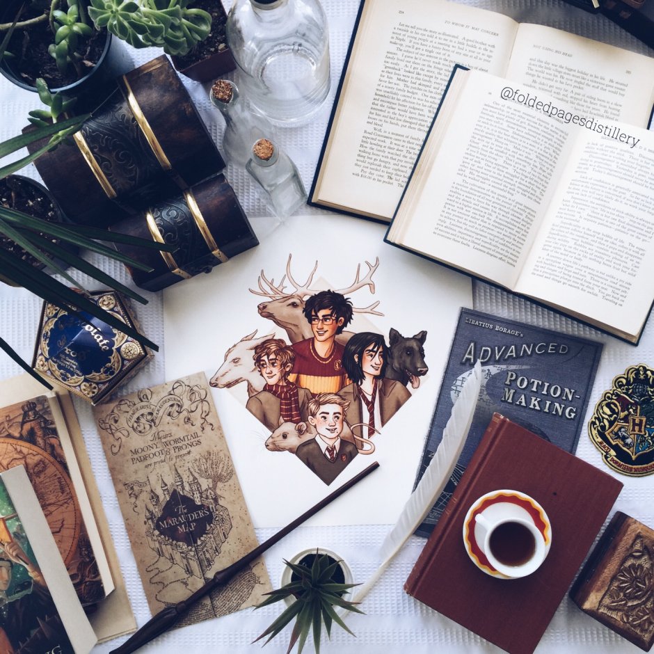 Книжная Эстетика Гарри Поттера