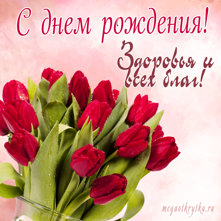 С днём рождения Елена