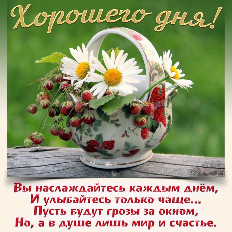 Открытки с добрым днём