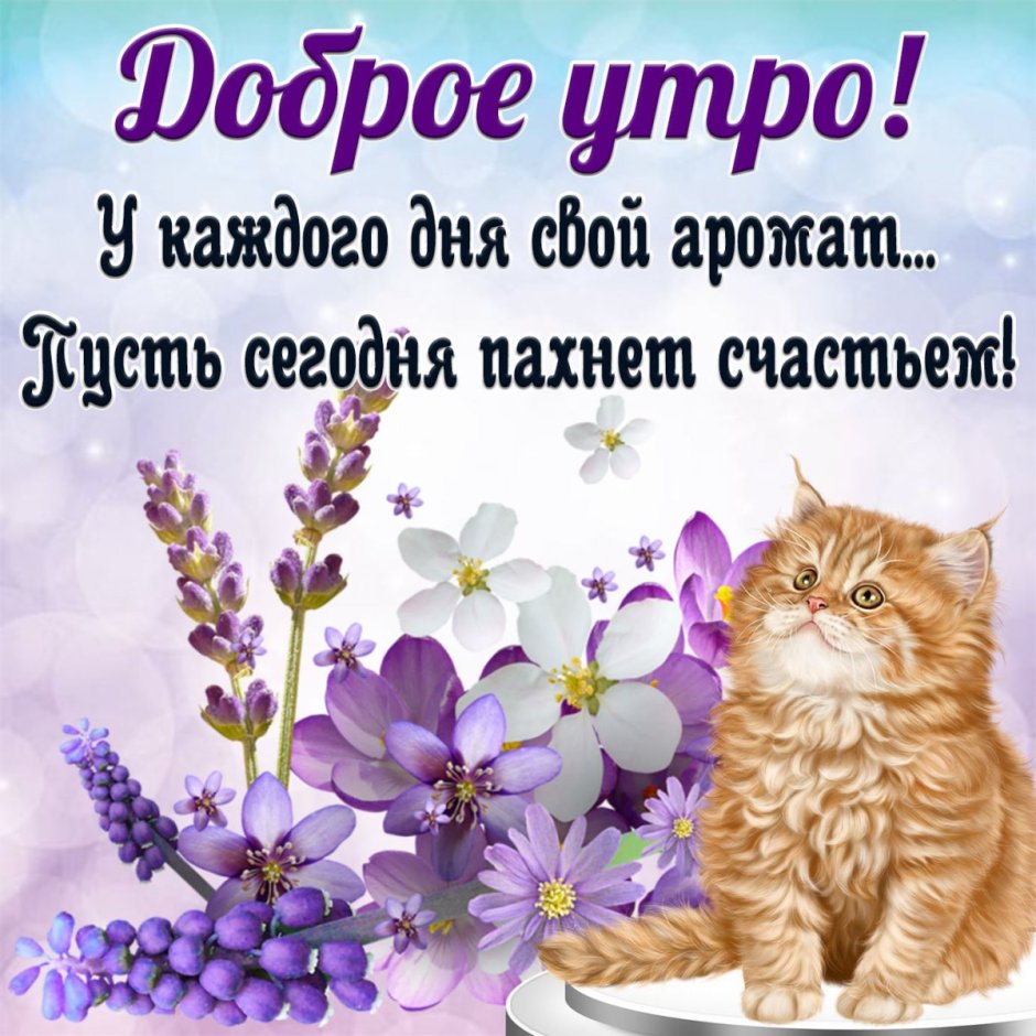 Поздравление с добрым утром