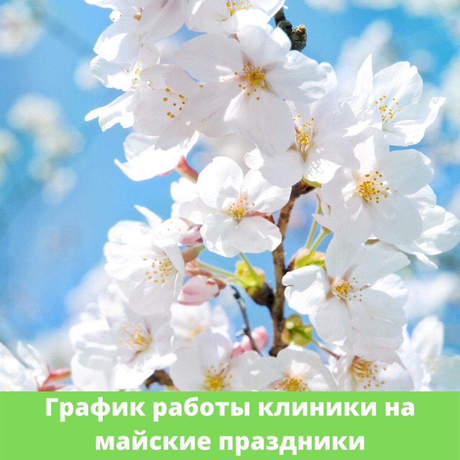Поздравления с днём рождения свахе