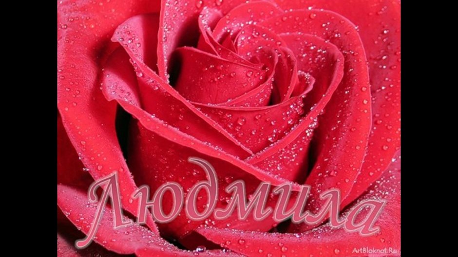Цветы для Жанны
