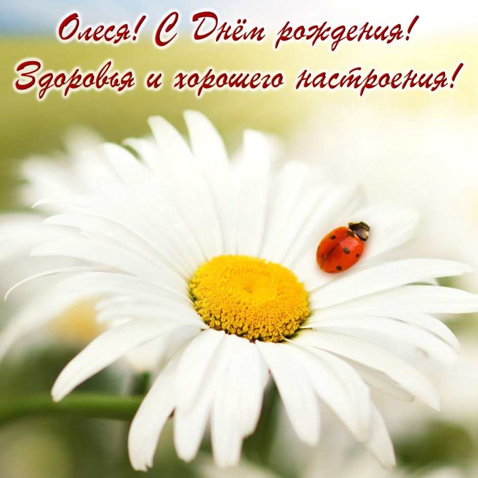 С днём рождения женщине