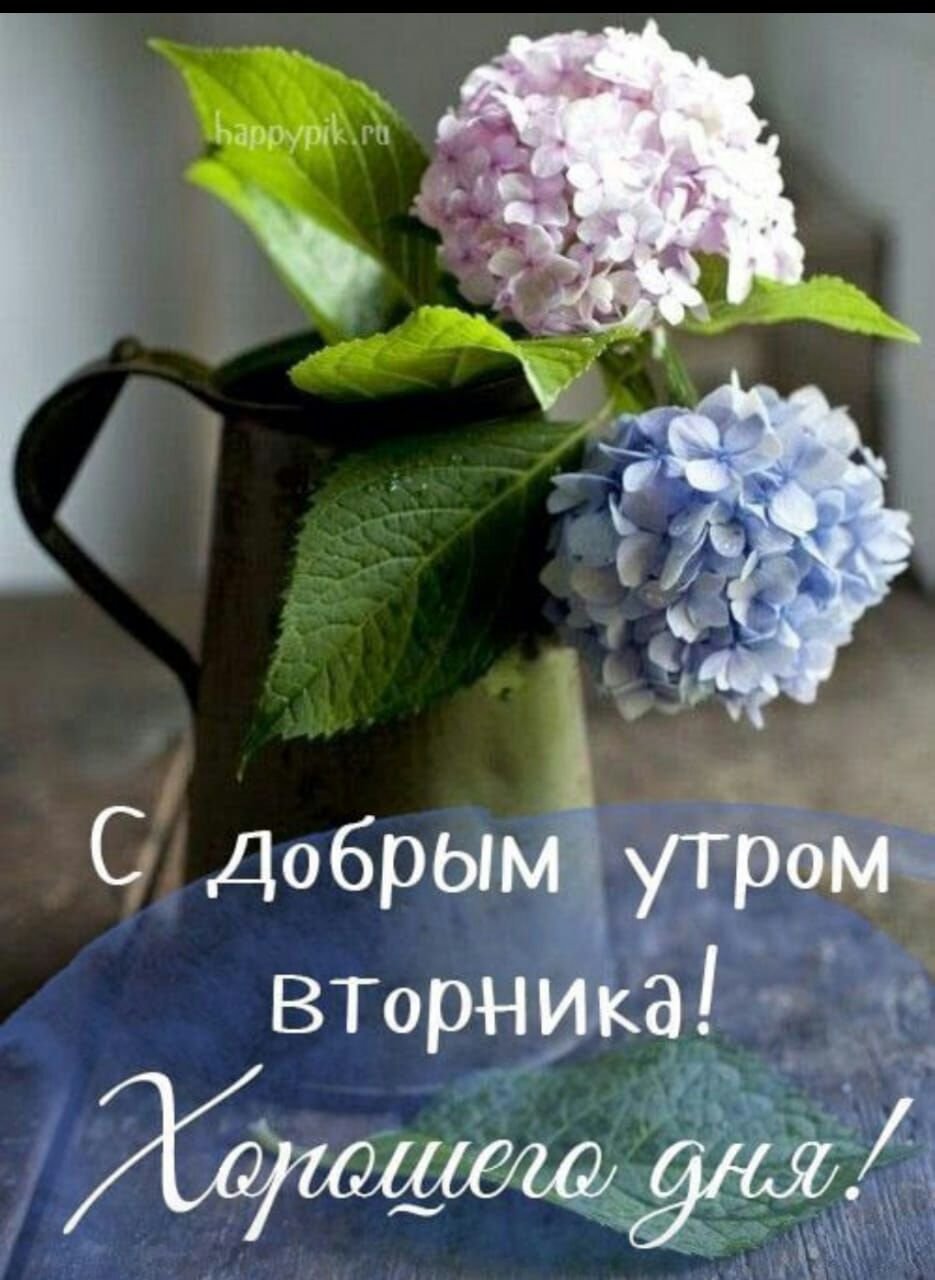 Доброе утро вторника