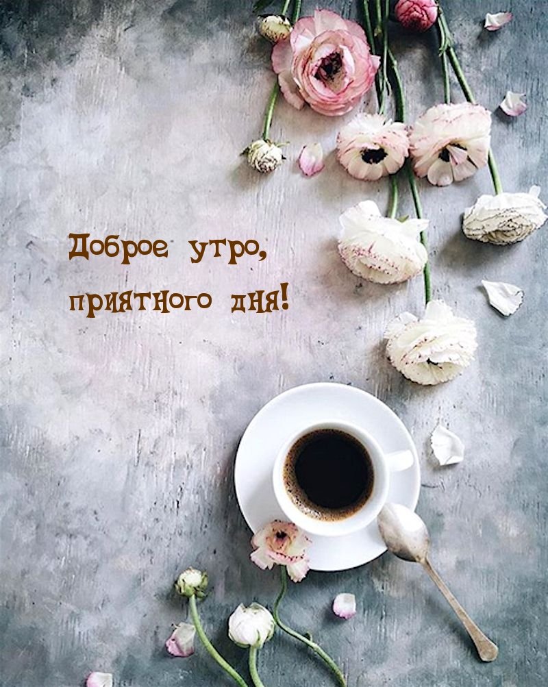 С добрым утром стильно