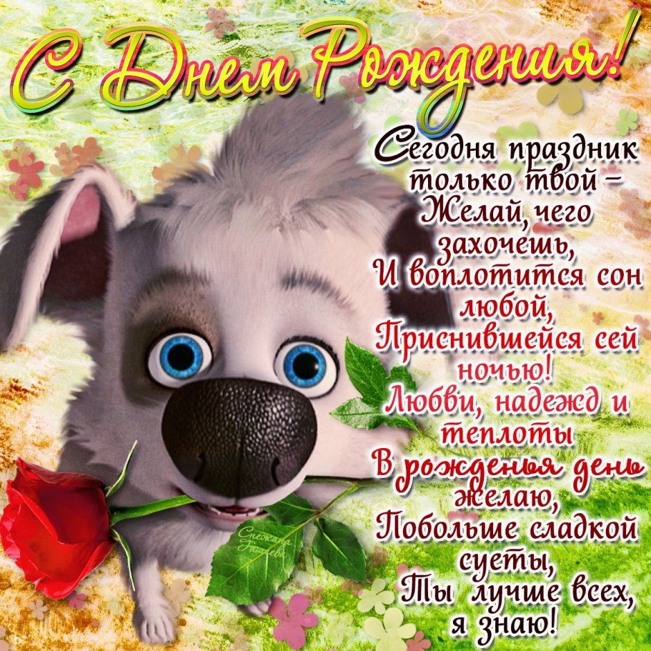 С днём рождения Александр