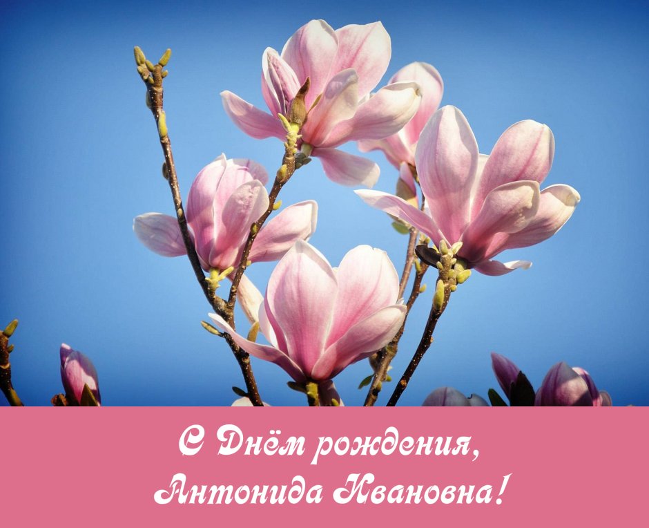 Поздравления с днём рождения Людмиле