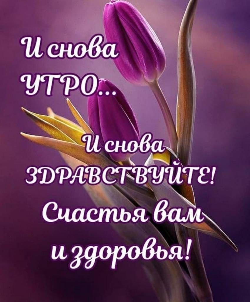 Поздравления с днём рождения женщине стильные