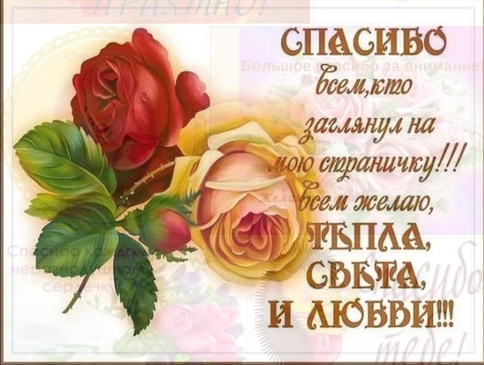 Люблю целую