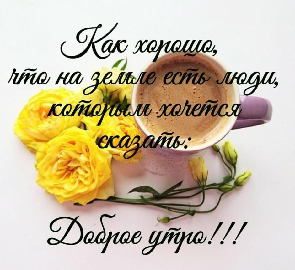 Цветы в коробках с добрым утром