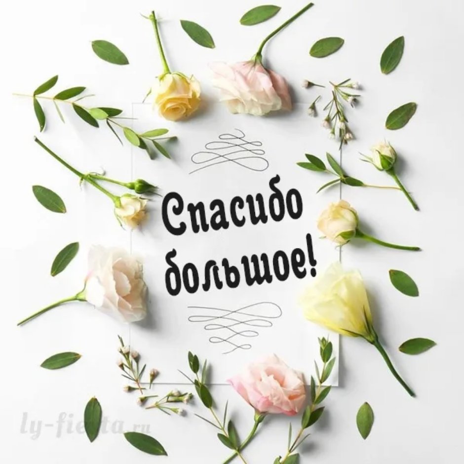 Доброе утро стильные