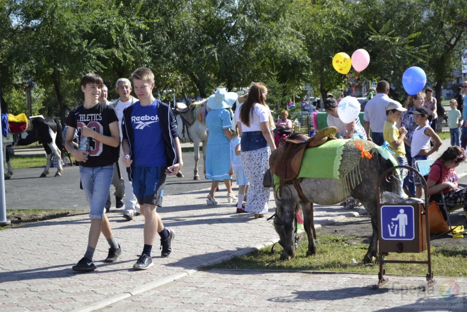 День помидора Минусинск