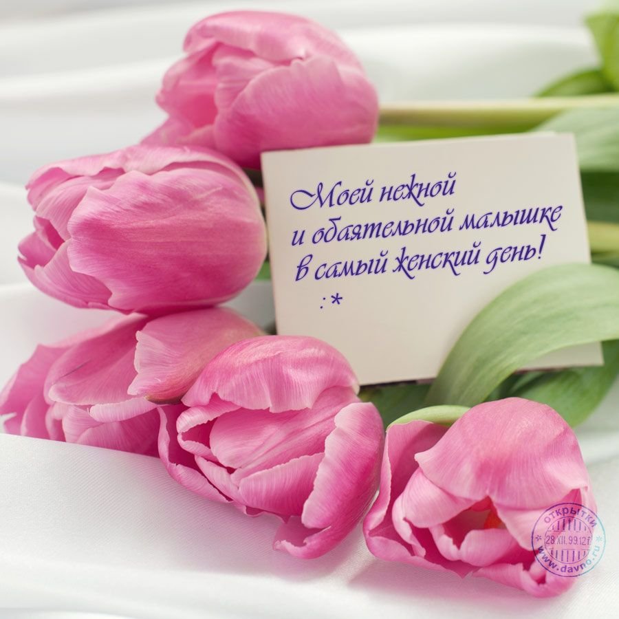 Роза оранж романтика