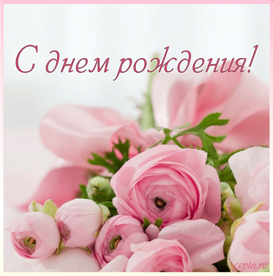 Розы на мятном фоне