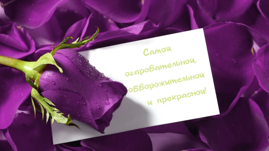 Открытка в фиолетовых тонах