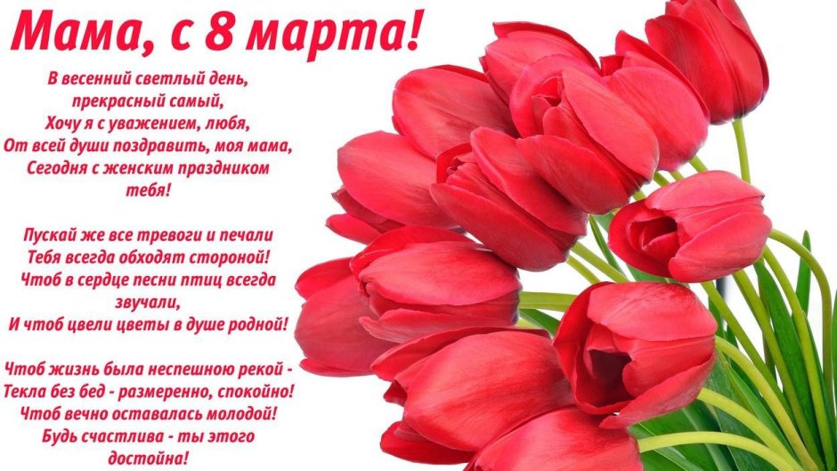 Красные тюльпаны
