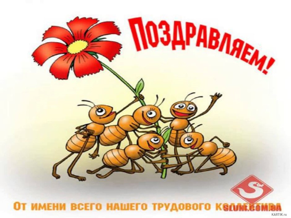Смешные поздравления с днем рождения