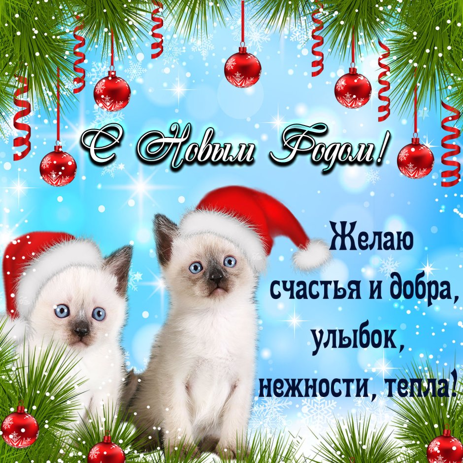 Новогодние поздравления с котиками