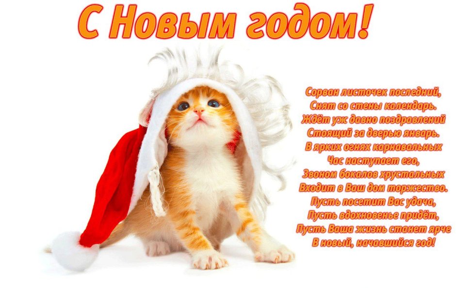 Пожелания на новый год