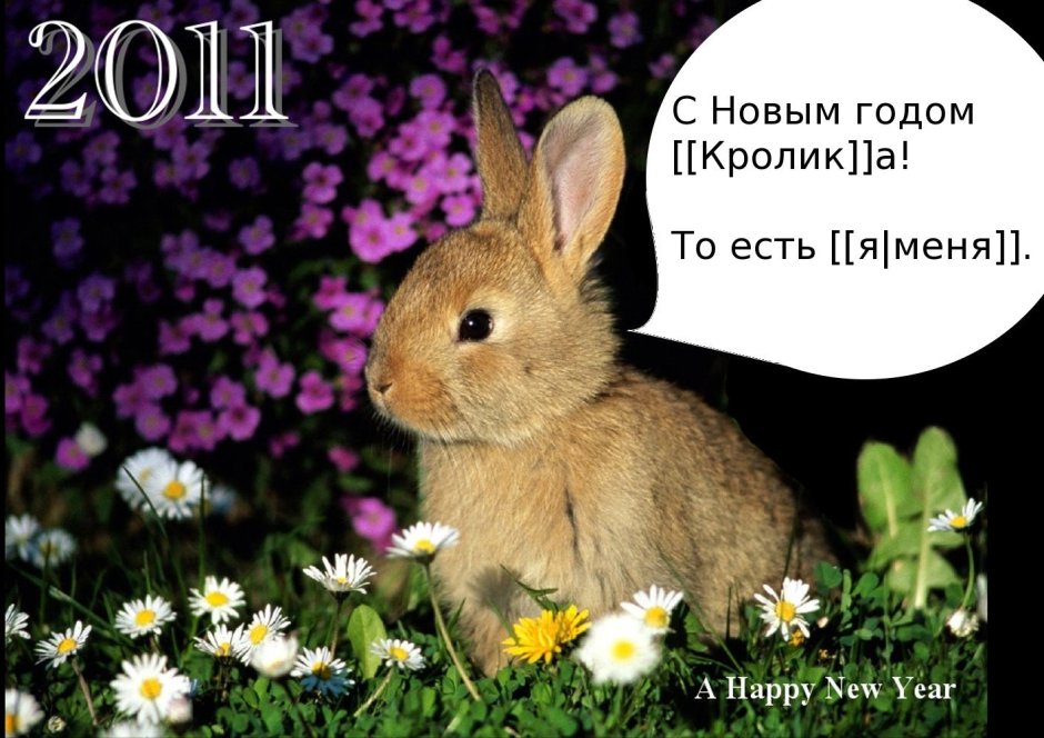 2011 Год кролика