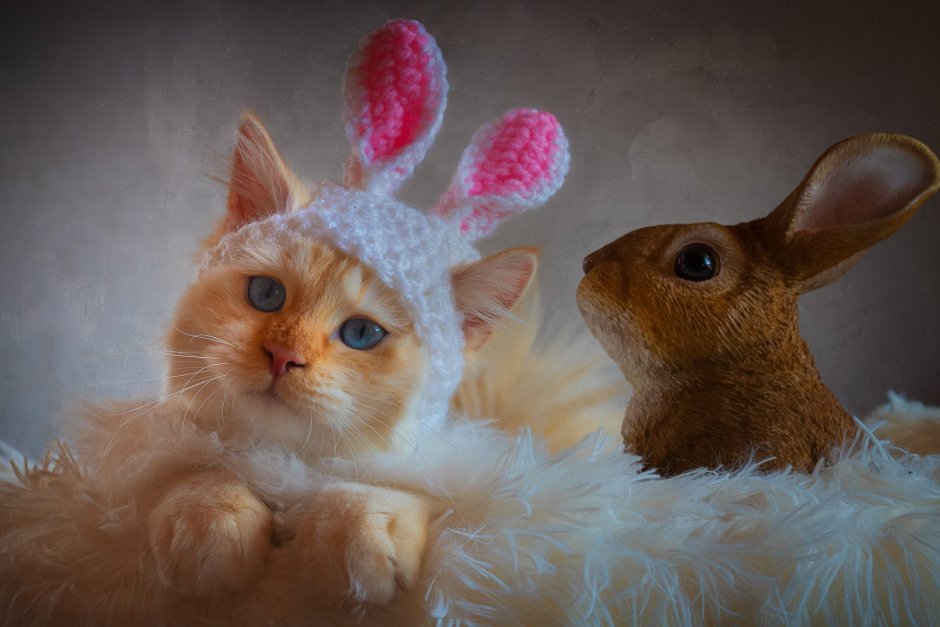 Новогодний кролик