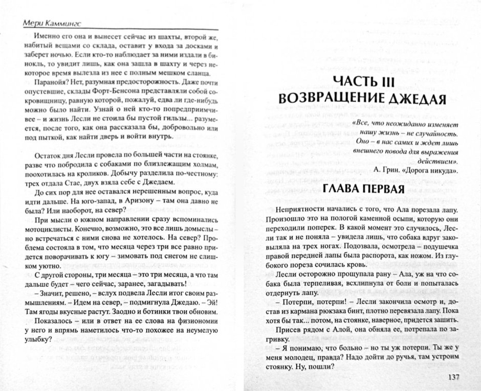 Серебряное небо книга