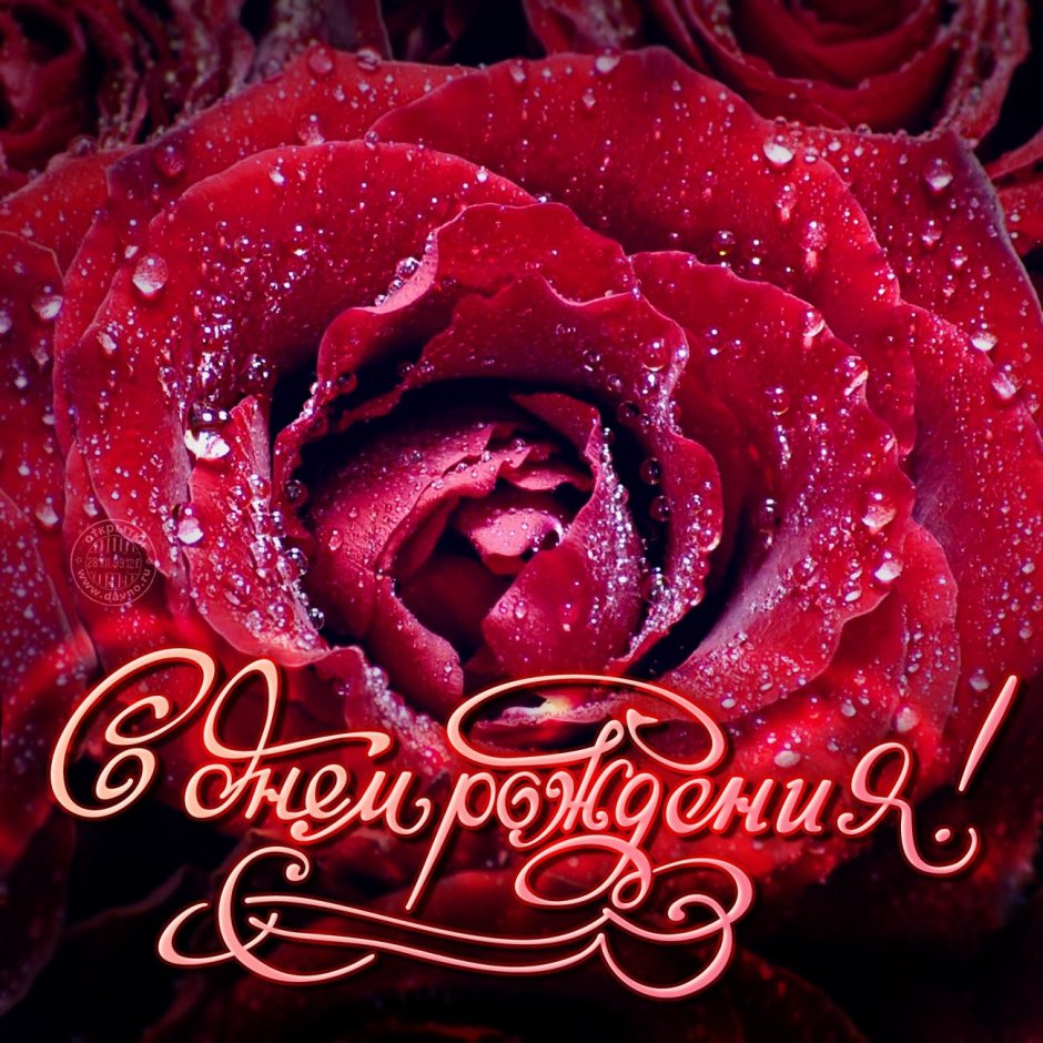 С днём рождения женщине